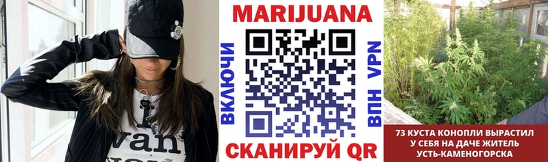 Виды наркотиков купить Тосно ГАШ АМФ СК Меф МЕГА онион МАРИХУАНА