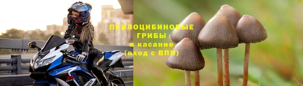 соль курить ск Пересвет