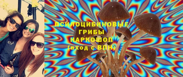 таблы Переславль-Залесский