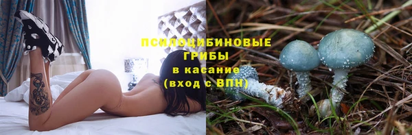 бошки Пестово