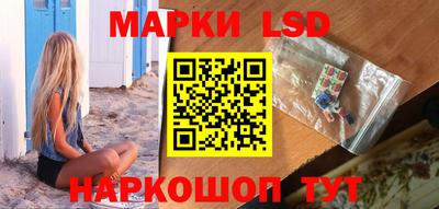 стаф Берёзовский