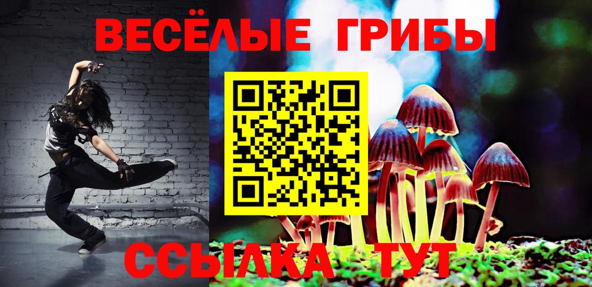 Псилоцибиновые грибы мухоморы  Тосно 