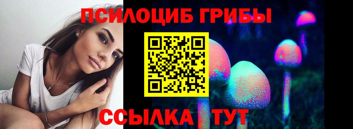 Тосно  Псилоцибиновые грибы GOLDEN TEACHER  Вход с VPN 